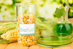 Fountain biofuel availability